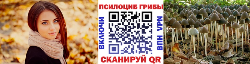 blacksprut сайт  Покровск  Галлюциногенные грибы GOLDEN TEACHER  купить наркоту 